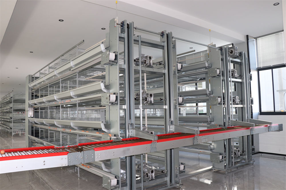 四層自動(dòng)升降撿蛋