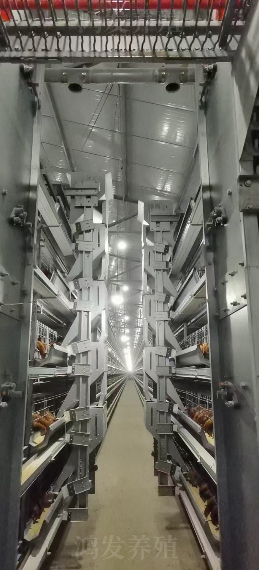 6層蛋雞籠_副本