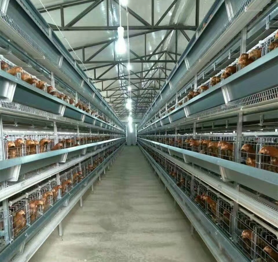 層疊蛋雞籠_副本_副本