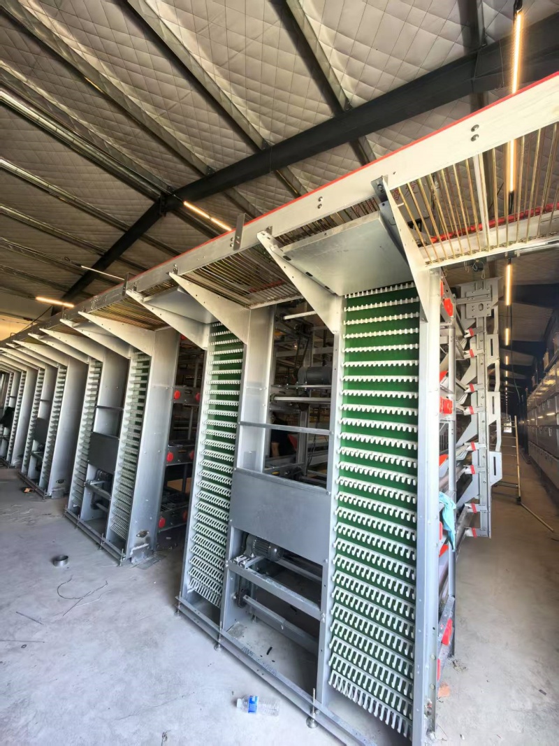 自動(dòng)升降撿蛋機(jī)