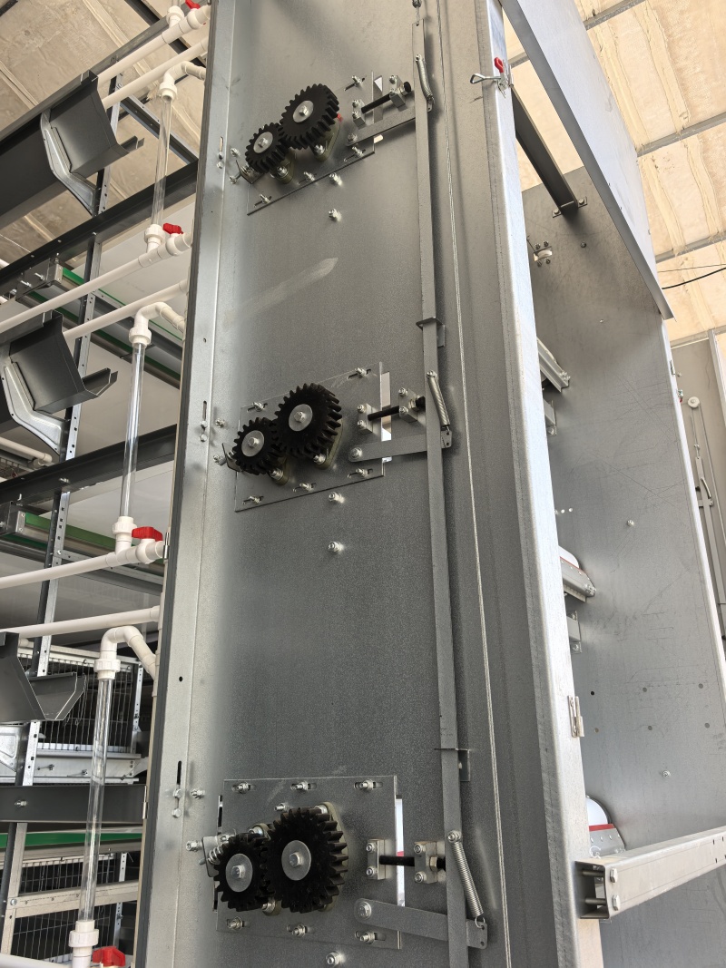 四層清糞機(jī)