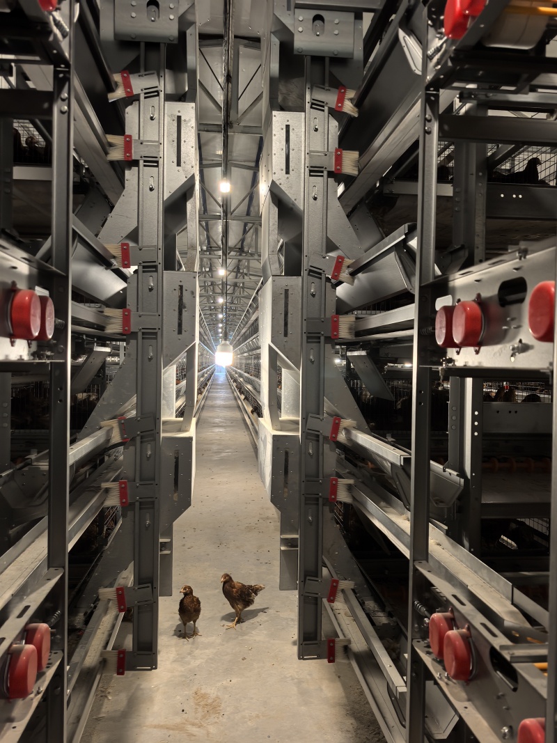 五層上料機(jī)