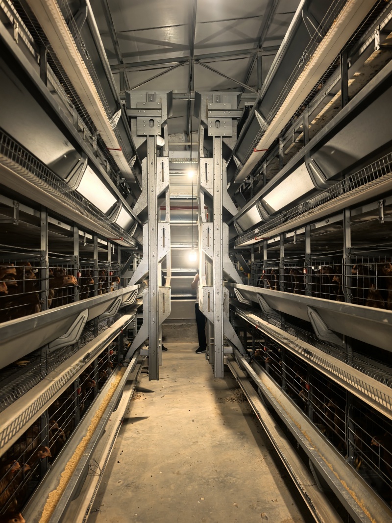 自動(dòng)上料機(jī)