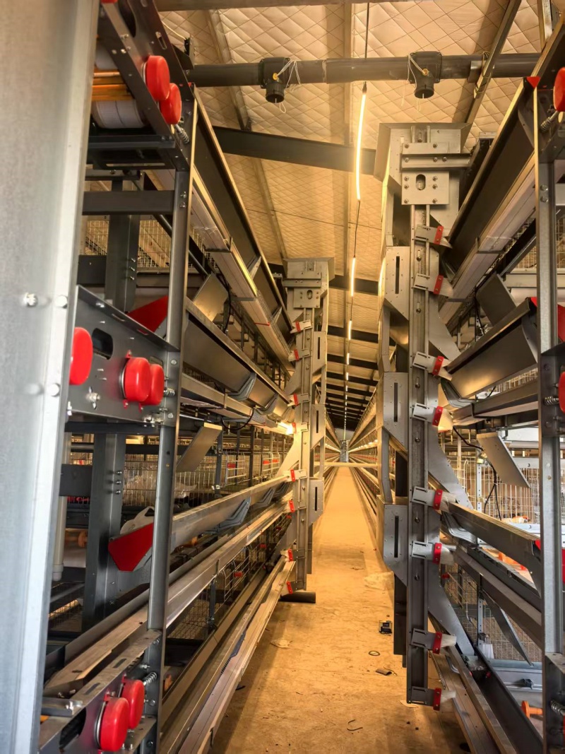 自動上料機(jī)1_1