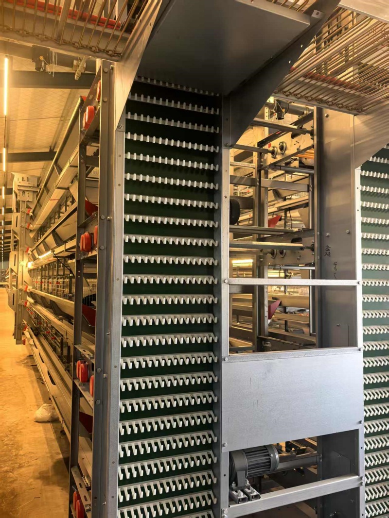 自動升降撿蛋機_1