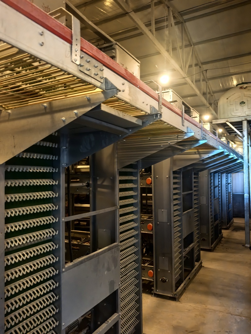 自動升降撿蛋機3_1