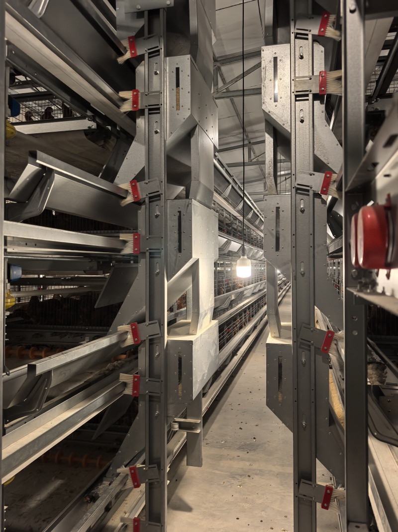 自動上料機(jī)_1