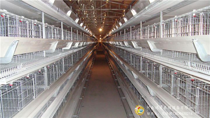 影響雞籠價(jià)格的因素有哪些？