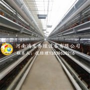 蛋雞籠母雞飼養(yǎng)方式