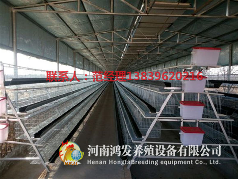 雞籠,層疊蛋雞籠,雞籠價(jià)格