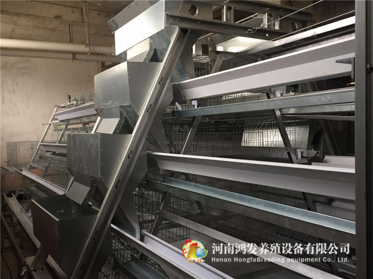 蛋雞籠,養(yǎng)雞設(shè)備