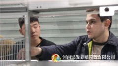 雞日糧配制的步驟