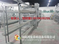產(chǎn)蛋雞雞籠的詳細介紹