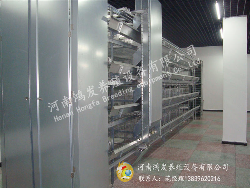 蛋雞籠,雞籠,鴻發(fā)雞籠