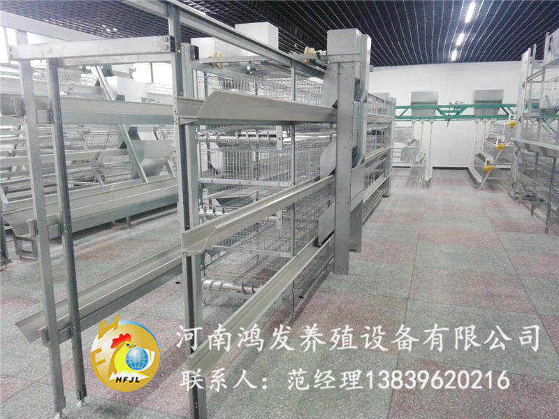 雞籠價格,蛋雞籠,河南鴻發(fā)養(yǎng)殖設(shè)備有限公司