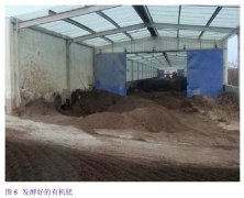 蛋雞籠蛋雞場病死雞的幾種方法！ ！