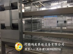 鴻發(fā)雞籠養(yǎng)雞的幾種辦法及優(yōu)點