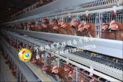 蛋雞籠廠環(huán)境保護(hù)的幾種方法！ ！