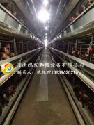 隔離對(duì)蛋雞籠蛋雞場(chǎng)衛(wèi)生防疫的意義