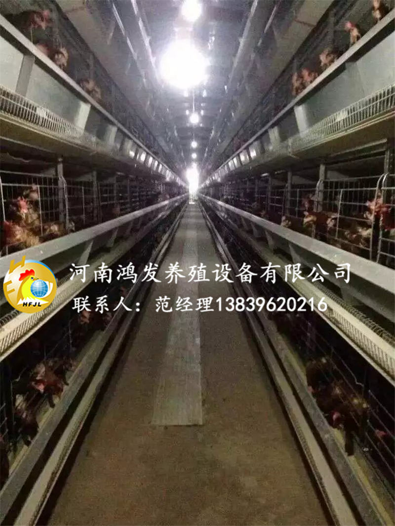養(yǎng)雞廠,蛋雞籠