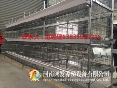 防止外界污染進(jìn)入蛋雞籠養(yǎng)雞場(chǎng)的