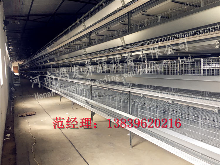 蛋雞籠子,蛋雞籠,雞籠生產(chǎn)廠家