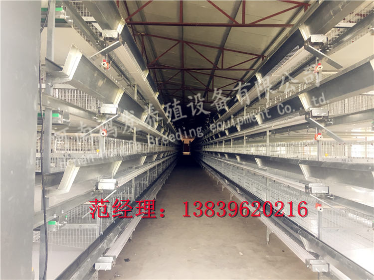 雞籠生產(chǎn)廠家,蛋雞籠廠家,蛋雞籠