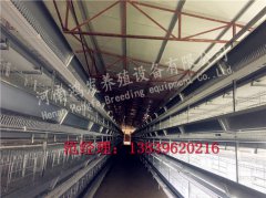 四層層疊式蛋雞籠