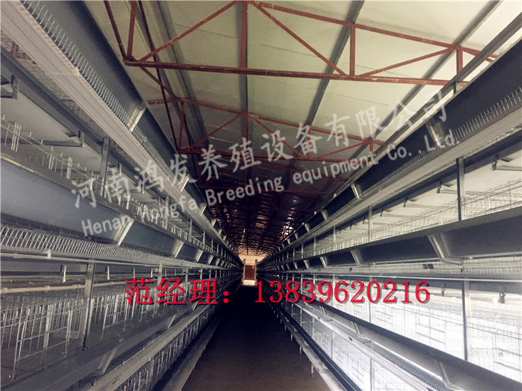 蛋雞籠價格,蛋雞籠廠家,雞籠