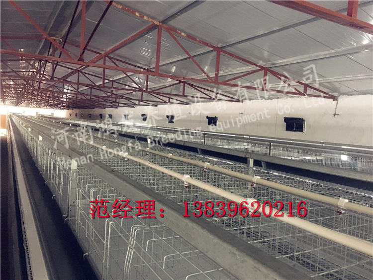 雞籠廠家,蛋雞籠,雞籠