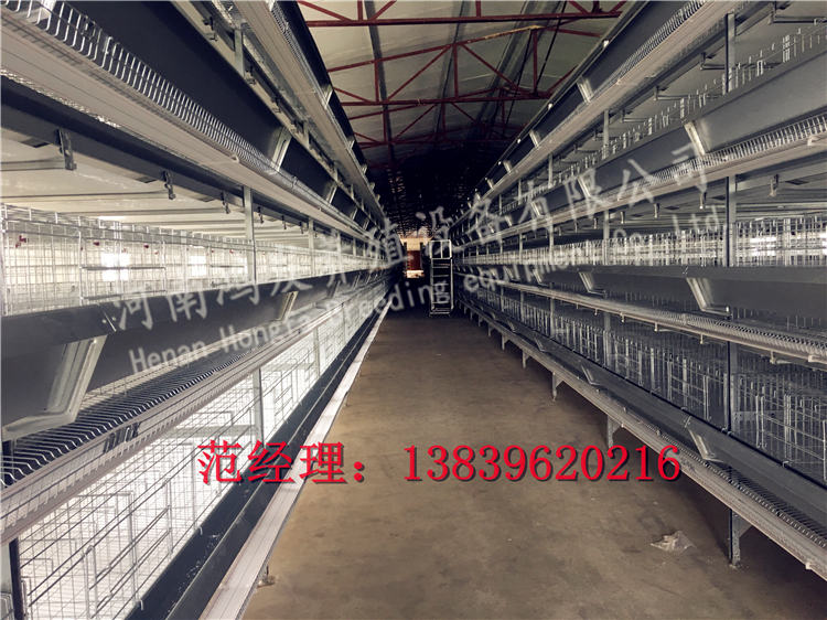 雞籠廠家,蛋雞籠生產(chǎn)廠家,雞籠設(shè)備